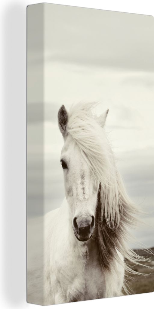 MuchoWow - Leinwandbilder - Pferd - Strand - Mähne, Wandbild, Wanddeko Bilder Wohnzimmer, 40x80 cm