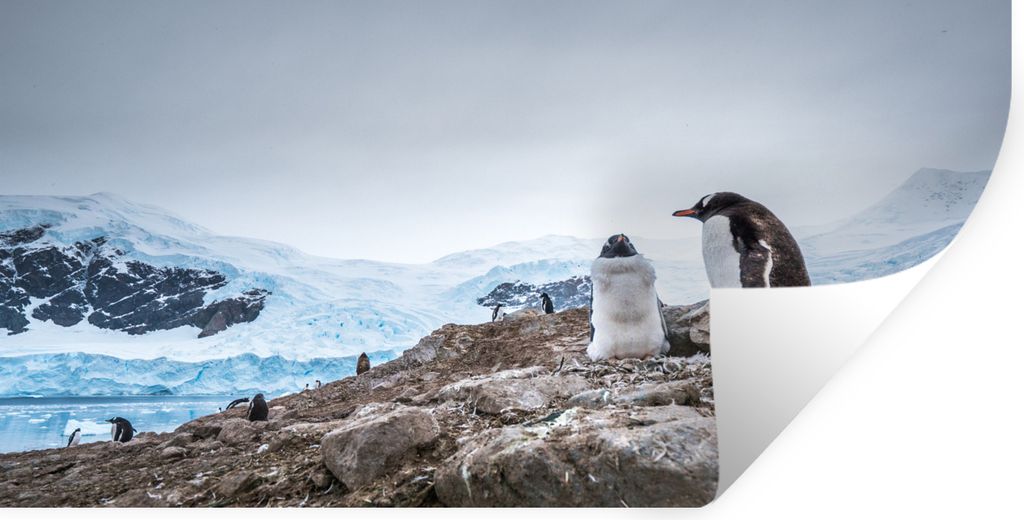 MuchoWow - Sticker - Dekorfolie