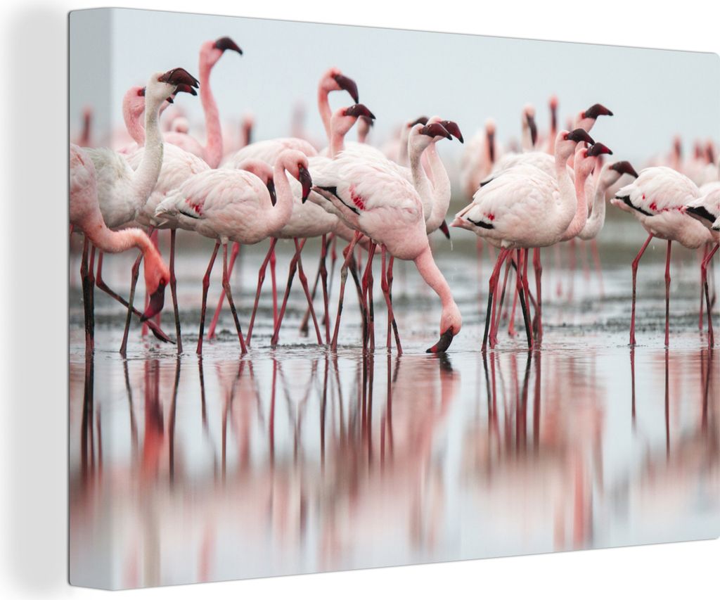 OneMillionCanvasses - Leinwandbilder - 150x100 cm, Eine Gruppe von blassrosa Flamingos steht im Wasser, Wandbilder Kunstdruck Wanddekoration