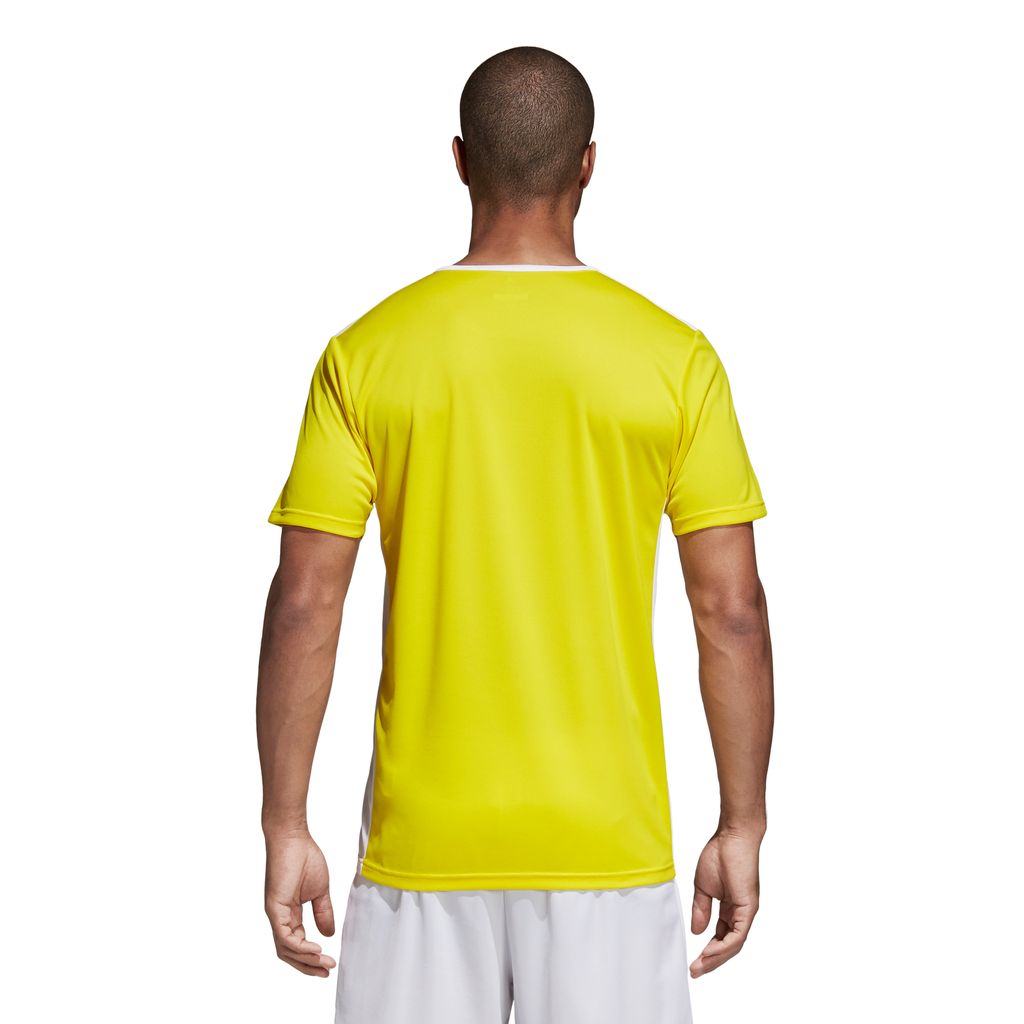 Adidas Koszulki Entrada 18 Jsy, CD8390, Größe: 164 Zdjęcie produktu 9