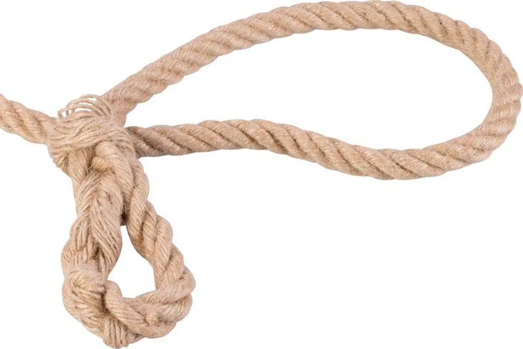 Corde en jute robuste 10m avec anneau renforcé charge lourde bricolage