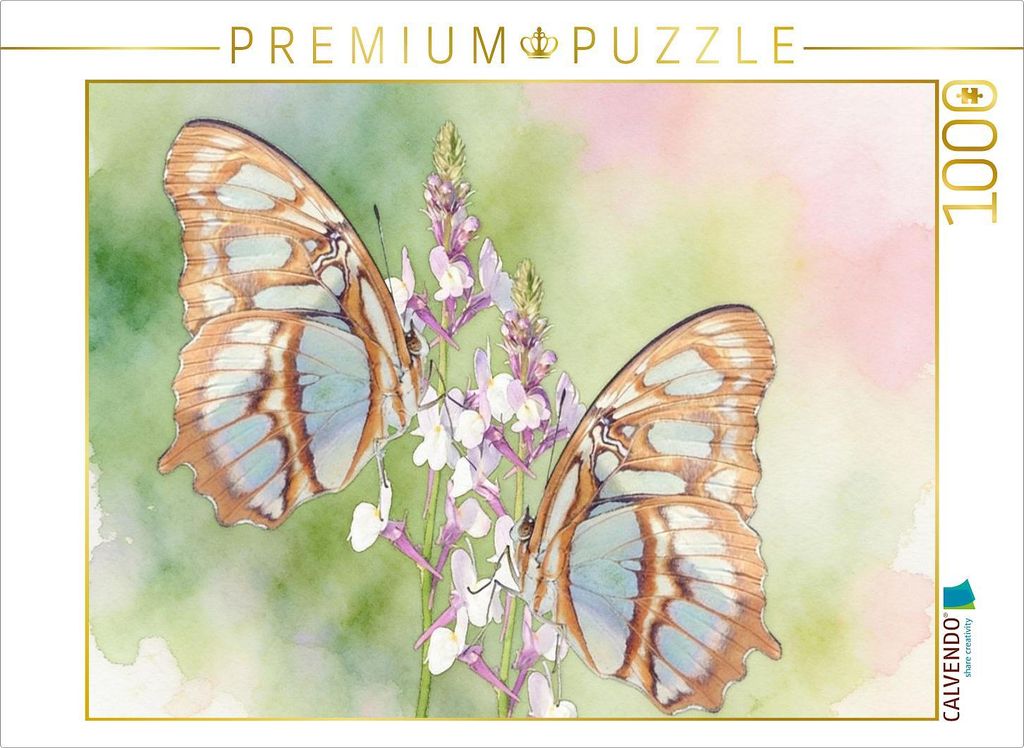 CALVENDO Puzzle Siproeta stelenes | 1000 Teile Lege-Größe 64x48cm Foto-Puzzle für glückliche Stunden