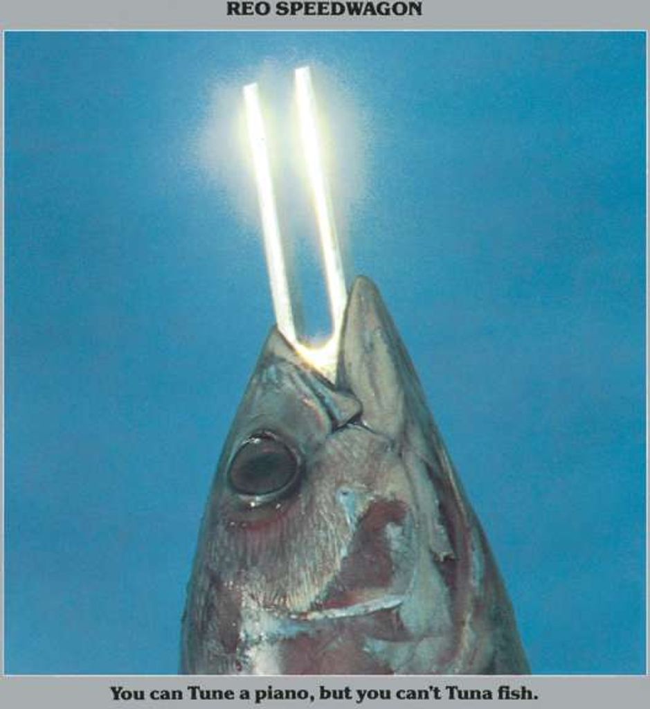 REO Speedwagon - You Can Tune A Piano, But You Cant't Tuna Fish
