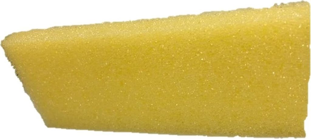 Insektenschwamm Scheuerschwamm Fensterschwamm Windschutzscheibe