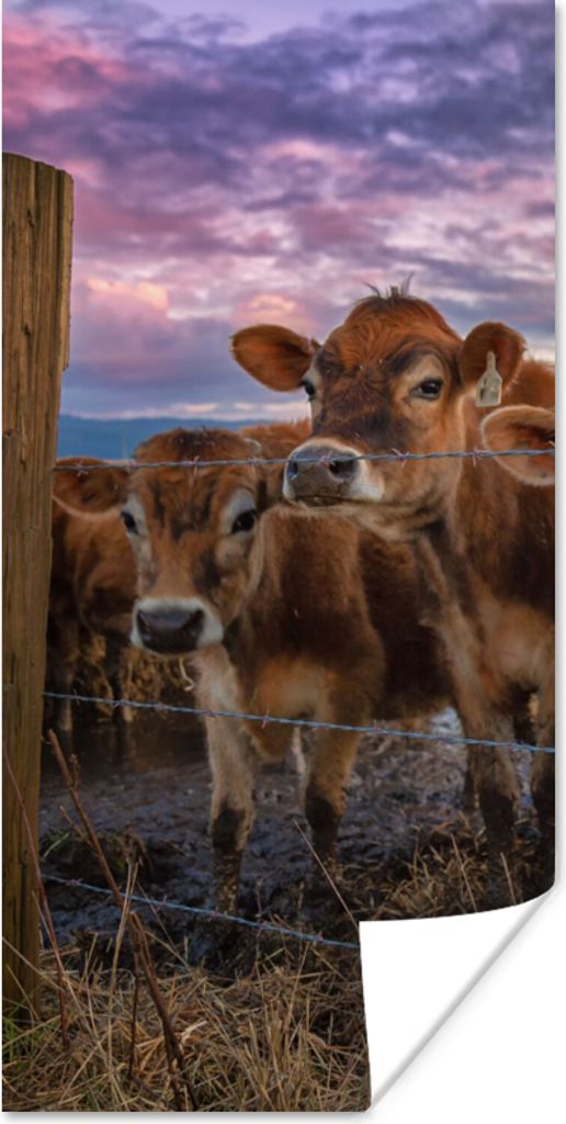 MuchoWow Poster Kuh - Tiere - Kühe 40x80 cm - Dekoration
