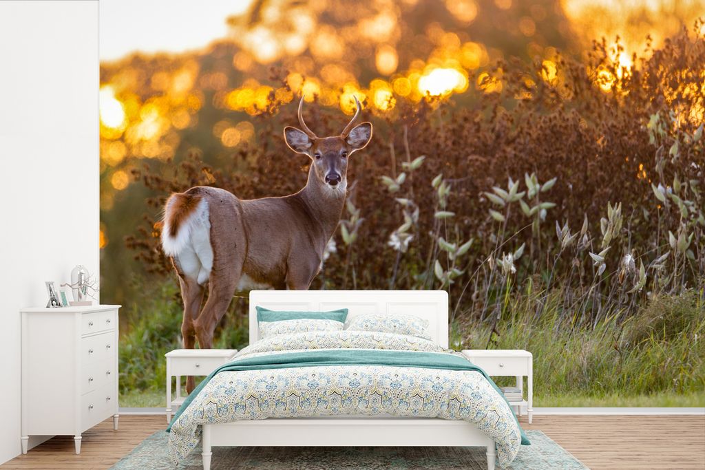 MuchoWow Fototapete für Wohnzimmer oder Schlafzimmer Wandtapete Vinyl Motivtapete Hirsche - Pflanzen - Sonnenuntergang - Wildtiere - Natur - 600...