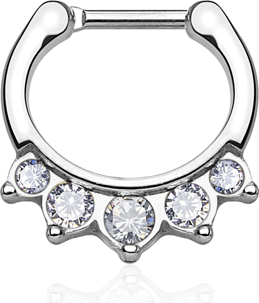 Nasenpiercing Septum Ring Nasenring Piercing Nase Zirkonia Chirurgenstahl Autiga silber-klar
