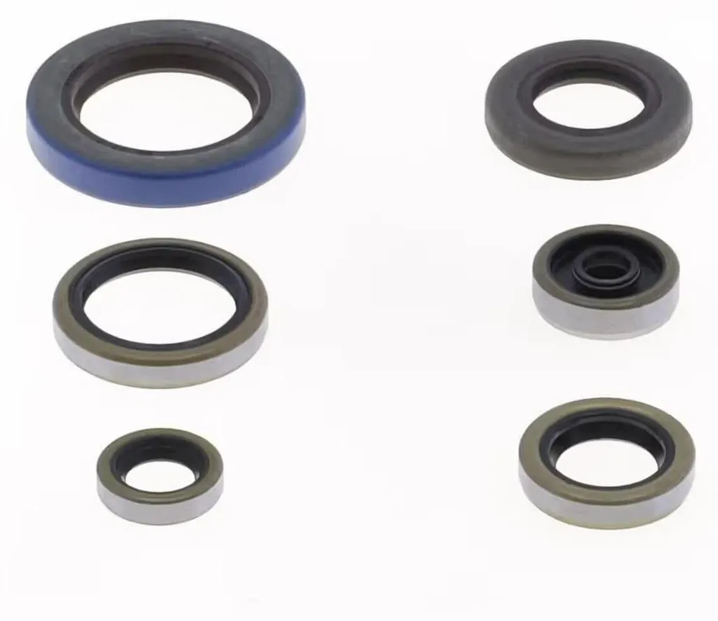 Kit joints moteur Athena P400270400101 haute température Husqvarna Gas Gas