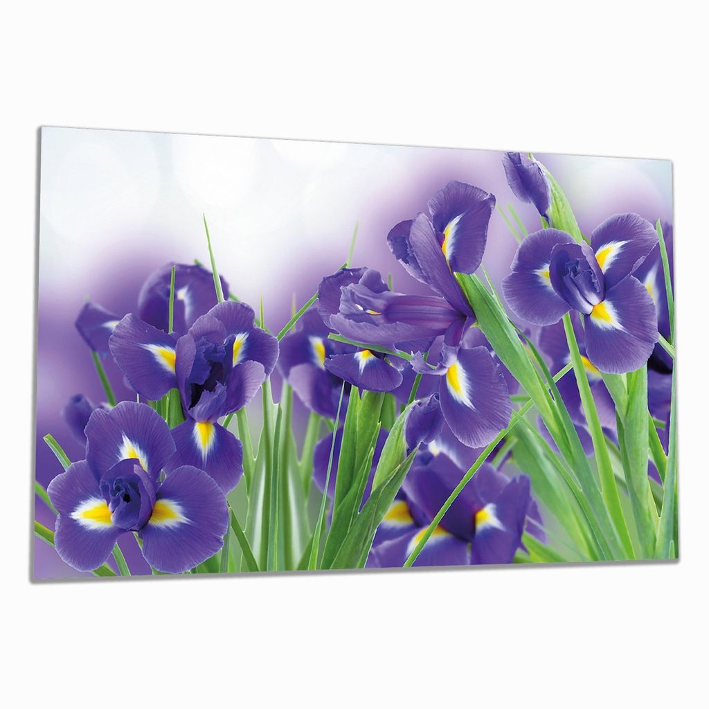 Wallario Herdabdeckplatte aus Glas, Größe 90 x 52 cm 1-teilig, Motiv Abstrakte blaue Schwertlilien in Nahaufnahme