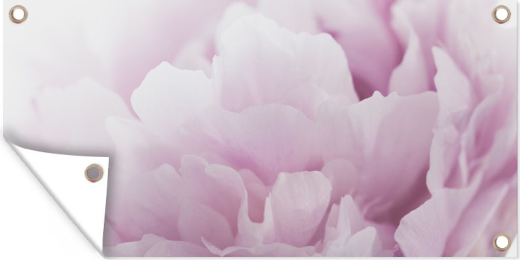 MuchoWow 160x80 cm Outdoor-Poster Gartendeko Sichtschutz Garten Poster für den Garten Nahaufnahme einer rosa Pfingstrose