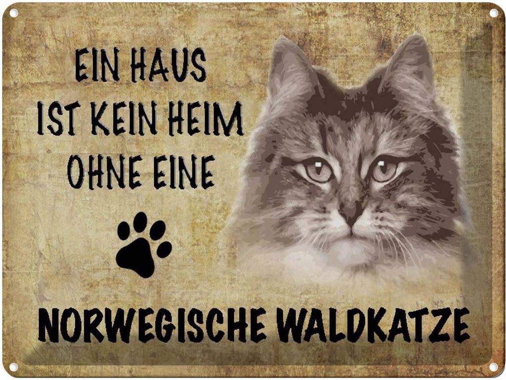 vianmo Blechschild 30x40 cm Norvegische Waldkatze Katze