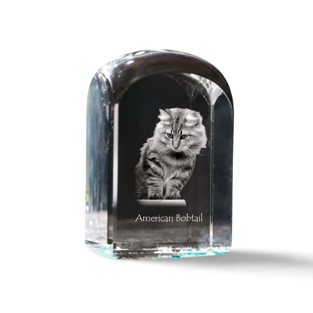 Cadeau Chat Bobtail Américain en Cristal Cube Décoratif pour Passionné