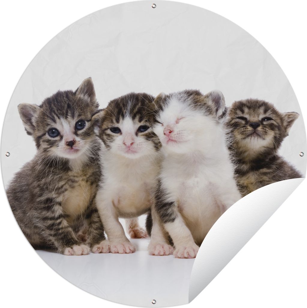 MuchoWow Gartenposter Outdoor-Poster Rund Katze - Haustiere - Fell - Porträt Ø 90 cm Gartendeko Rundes Poster draußen