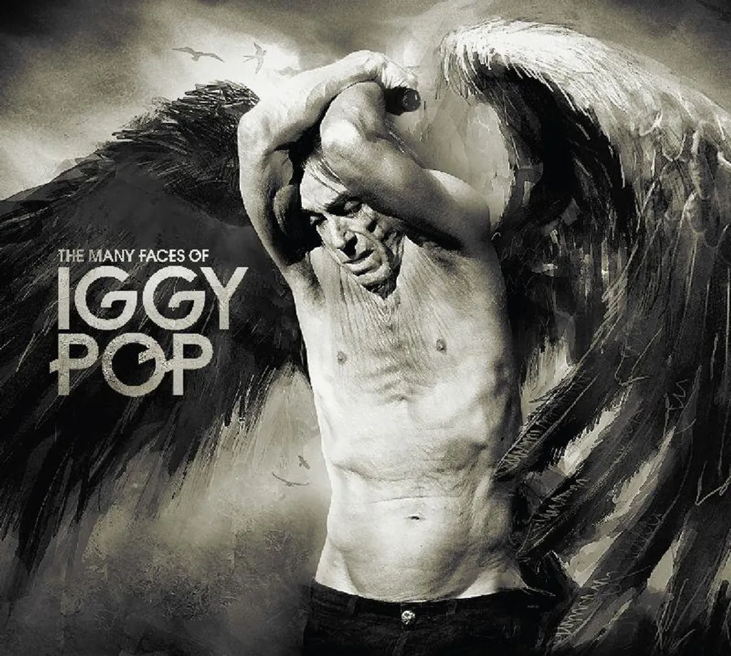 Livre Iggy Pop Les Multiples Visages - Edition Illustrée avec Photos Rare