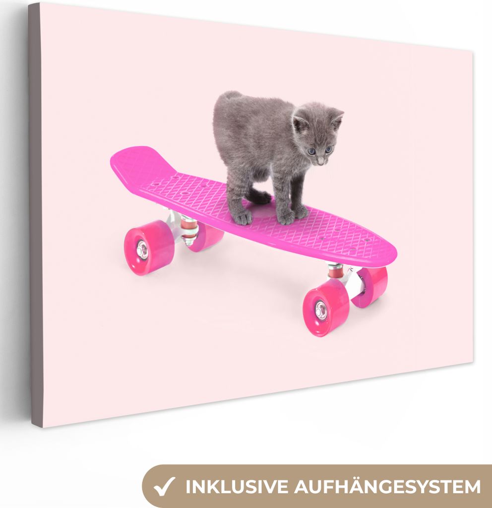 OneMillionCanvasses - Leinwandbilder - 150x100 cm, Katze - Kätzchen - Tiere - Skateboard - Rosa, Wandbilder Kunstdruck Wanddekoration - Foto auf...