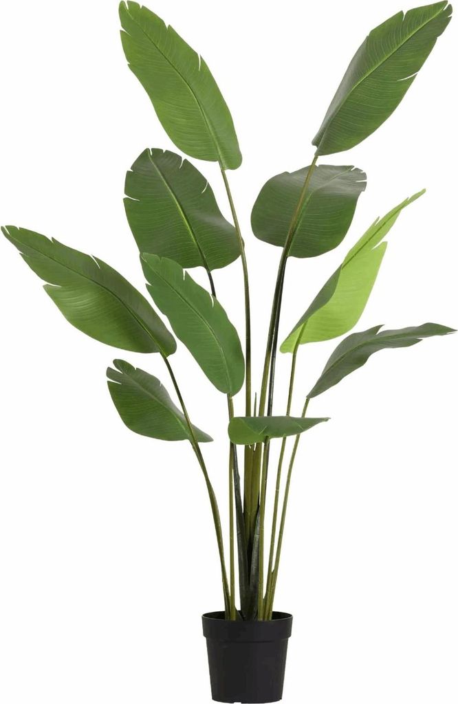 Strelitzia Nicolai Kunstpflanze 180cm – Große Paradiesvogelblume Deko Pflanze – Pflegefreie Zimmerpflanze für Wohnzimmer Büro & Empfangsbereich