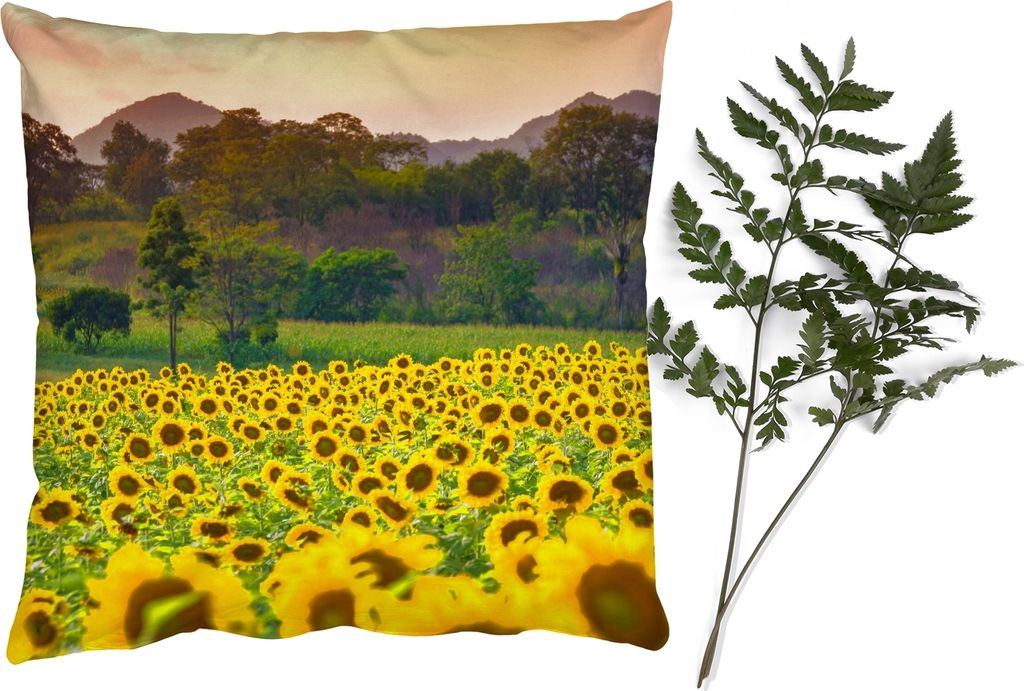MuchoWow Zierkissen Sofakissen Wohnzimmer Dekokissen 60x60 cm Sonnenblume - Natur - Berg - Sitzfläche - Foto Polster
