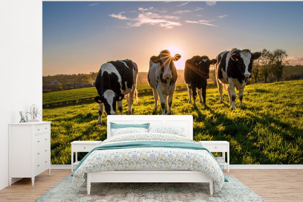 MuchoWow Fototapete für Wohnzimmer oder Schlafzimmer Wandtapete Vinyl Motivtapete Kühe - Sonne - Gras - Tiere - Bauernhof - 295x220 cm - Wand T...