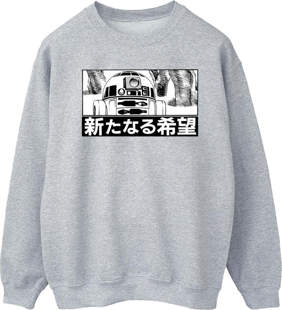 Star Wars - Sweatshirt für Herren BI46117 (XL) (Grau) Produktbild 