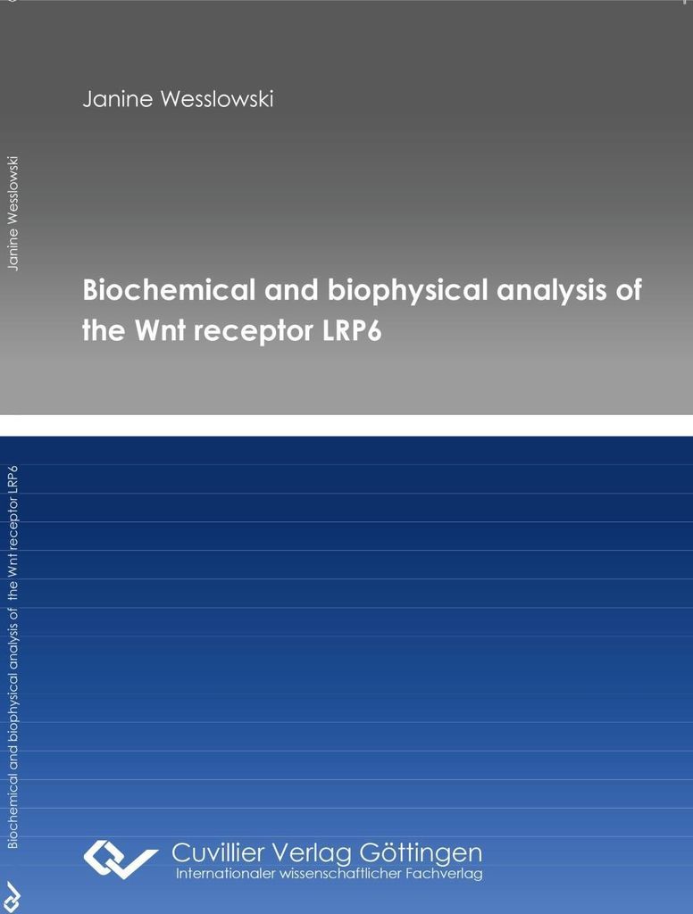 Biochemical and biophysical analysis of the Wnt receptor LRP6