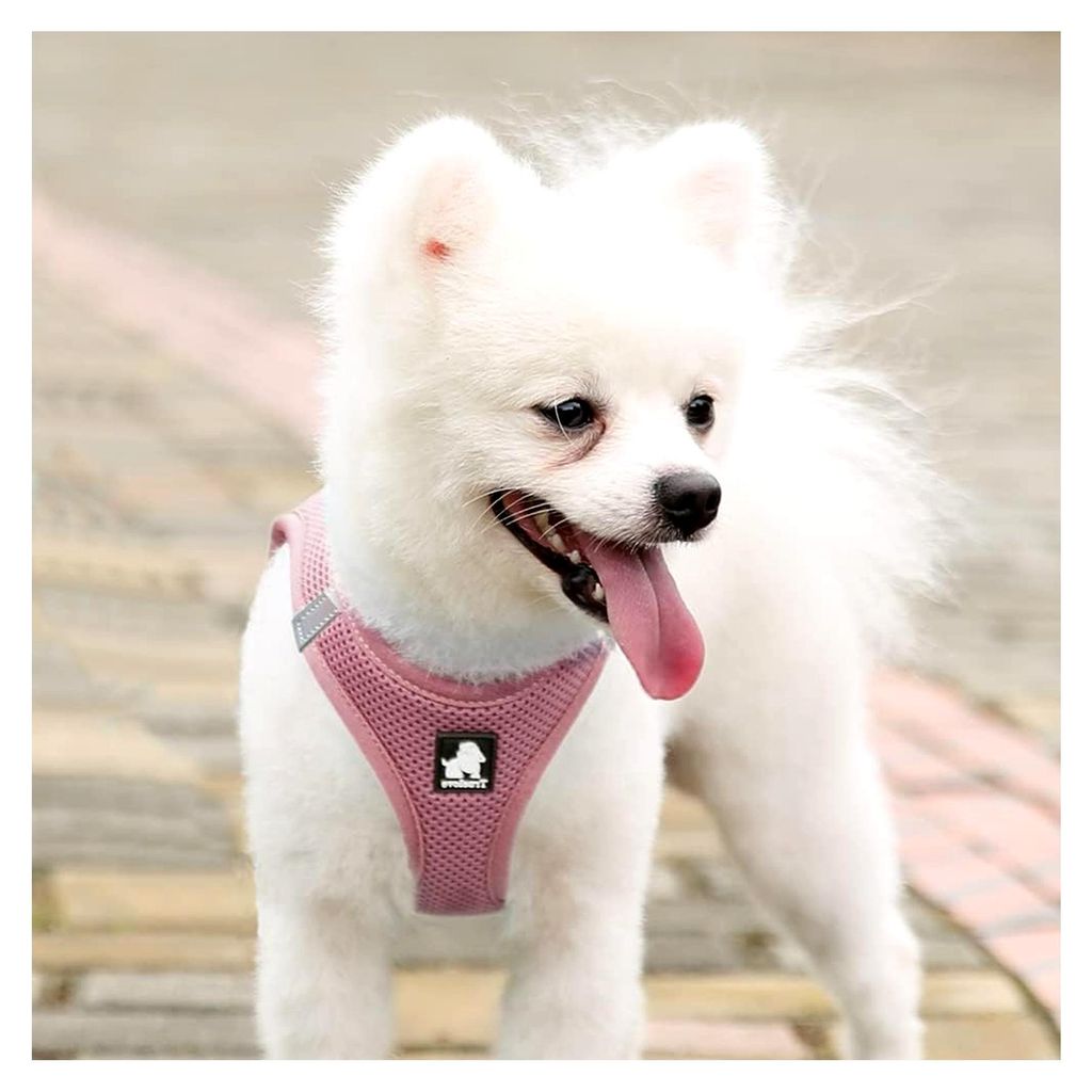 Hundegeschirr Soft Air Mesh Verstellbare Reflektierende Haustierweste für kleine und mittelgroße Rassen, klein, Rosa