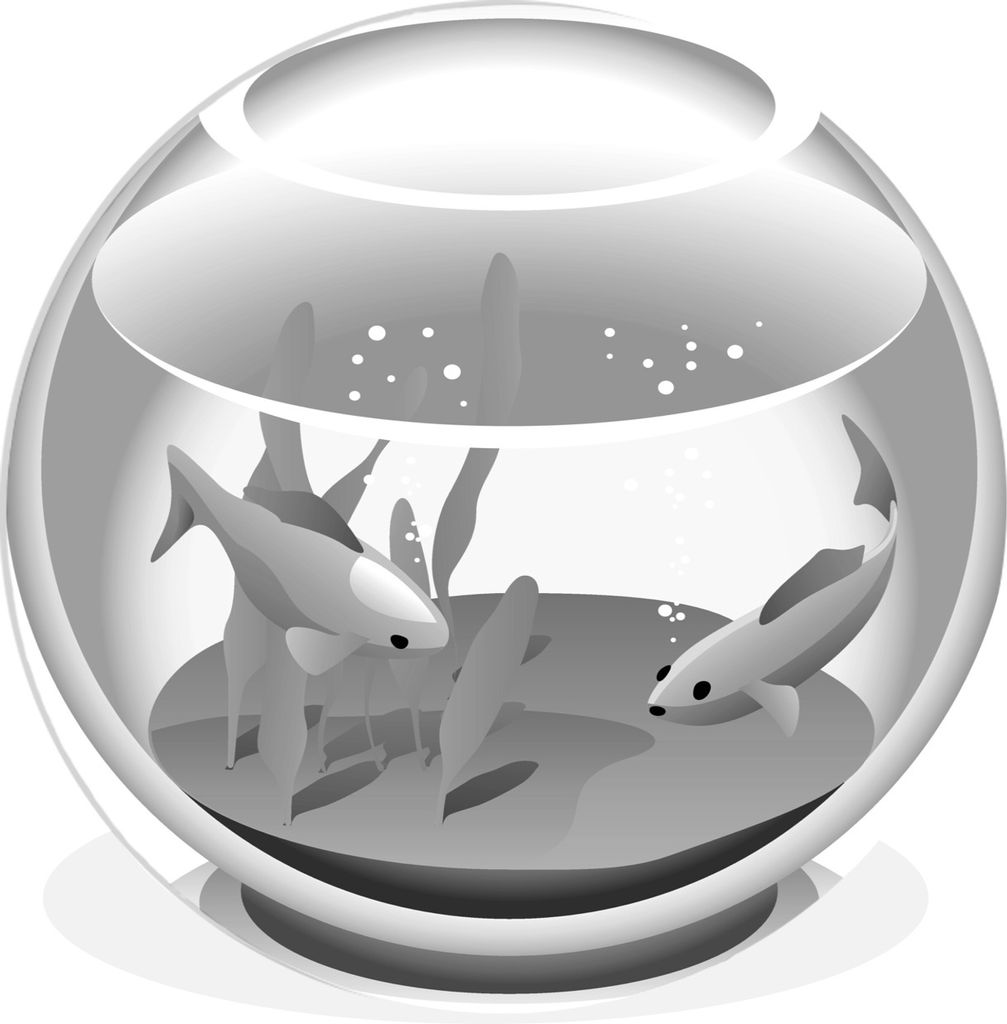 MuchoWow Rundes Wandbild - Runde Bilder Eine Illustration von zwei Goldfischen in einer Schale - schwarz und weiß Ø 30 cm Kreis Wanddekoration ...