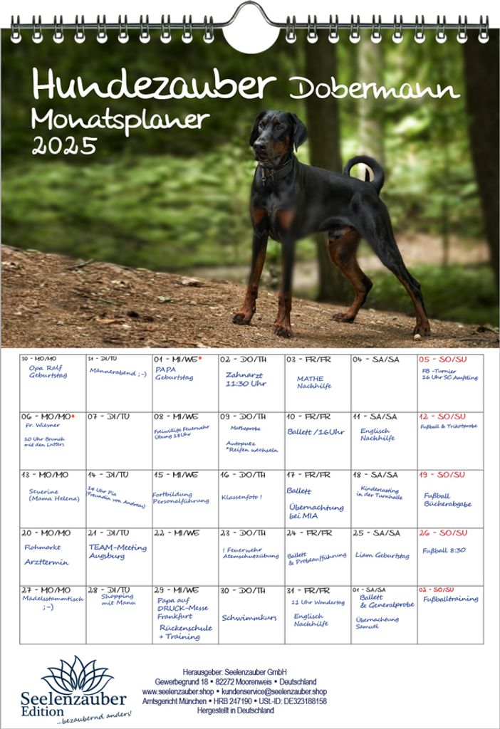 Hundezauber Dobermann Planer DIN A4 Kalender für 2025 Hunde Welpen - Seelenzauber