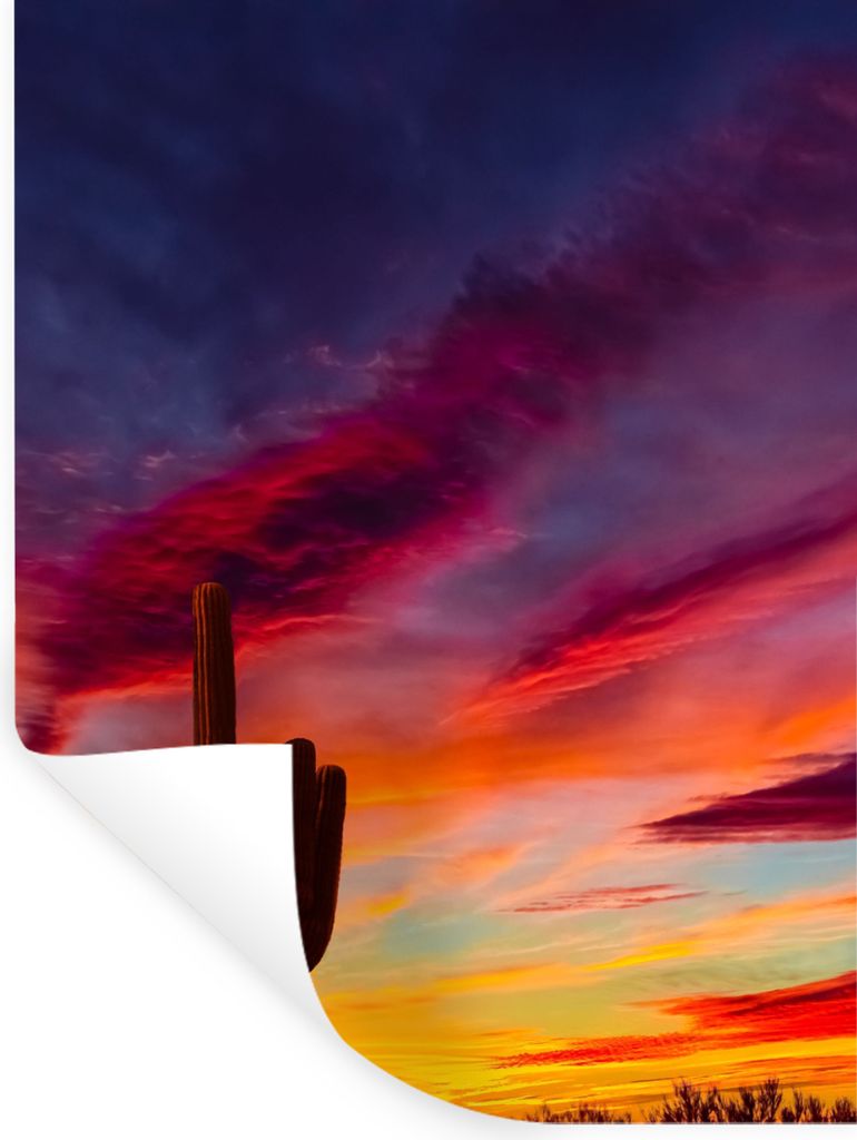 MuchoWow Wandtattoo Wandsticker Wandaufkleber Kaktus - Himmel - Sonnenuntergang - Lila - Rosa 60x80 cm Selbstklebend und Repositionierbar - Repos...