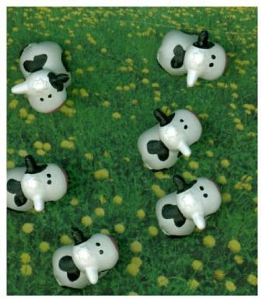 Magnete COW 6er Set weiss/schwarz