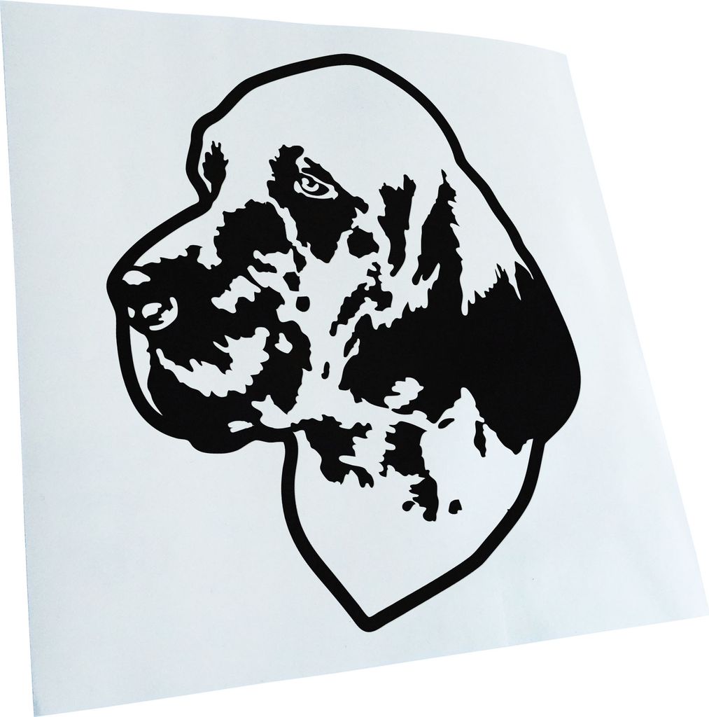 Kiwistar - Autoaufkleber - English setter Hund - Schwarz - 30x25cm - Aufkleber für Auto, Laptop, Fahrrad, LKW, Motorrad mehrfarbig JDM Decal Racing
