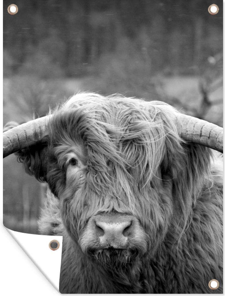 MuchoWow 60x80 cm Outdoor-Poster Gartendeko Sichtschutz Garten Poster für den Garten Schottischer Highlander - Kuhkopf - Landschaft - Natur - Kuh