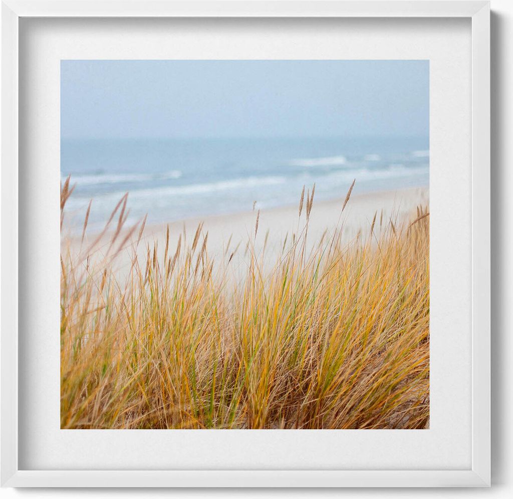 Meereslandschaft aus Strand und Gräsern– Wandbild mit Rahmen – Gerahmtes Bild – Wanddekoration – 50x50 cm – Weiß Rahmen
