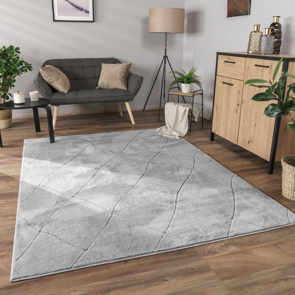 A living room scene with a rug, sofa, cabinet, and plants.