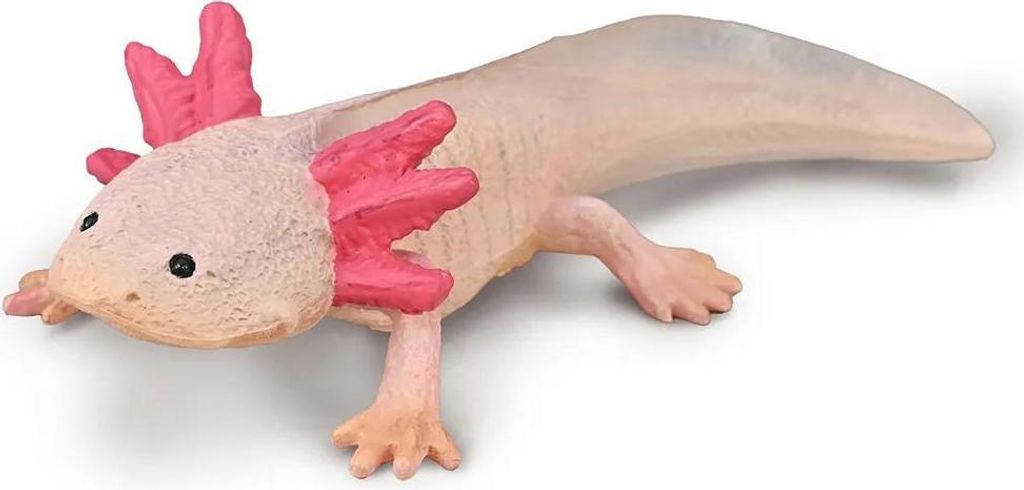 Collecta 80015 Axolotl vodný svet Obrázok produktu 