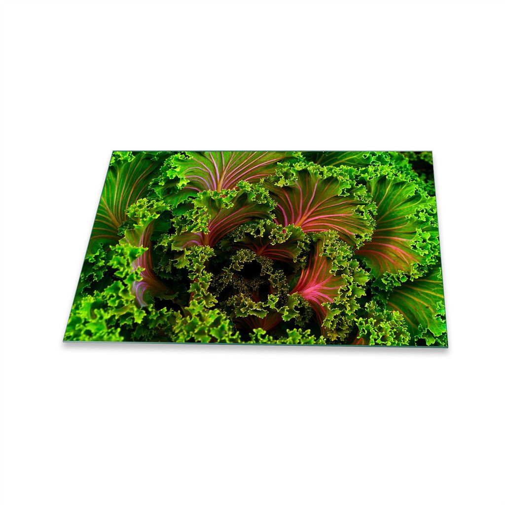 Herdabdeckplatte Glaskeramik 1 Teilig 80x52 Natur Grün Abdeckung Glas Spritzschutz