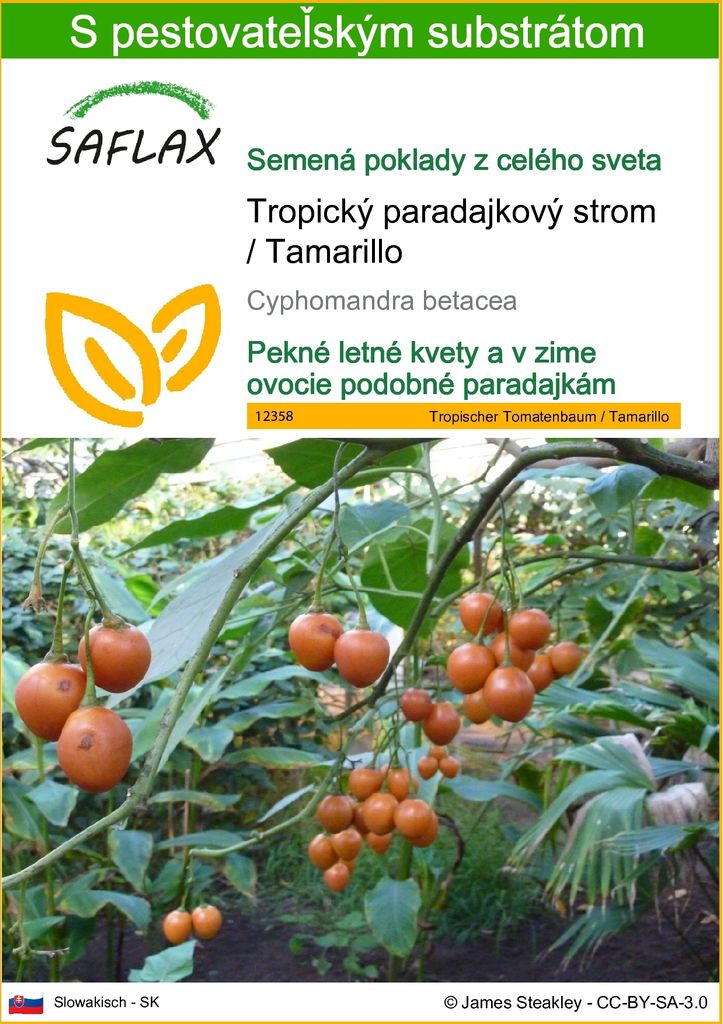 SAFLAX - Tropický paradajkový strom / Tamarillo - Obrázok produktu 
