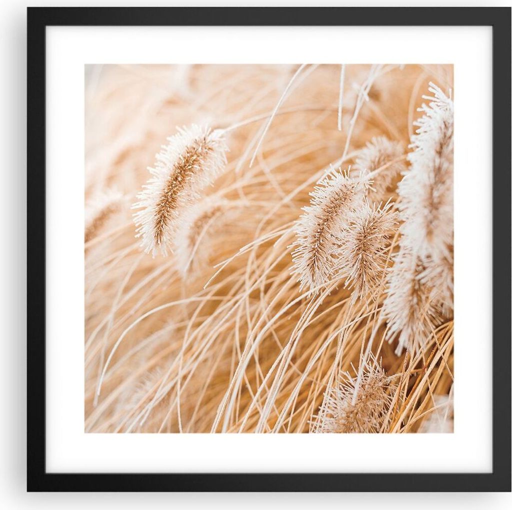 Gerahmtes Poster - Schwarzer Rahmen - Gras Boho Licht - 40x40 cm - Wand Bild - Wanddeko - Wandbilder - Kunstposter - Wandposter - Bilderrahmen - Bi...