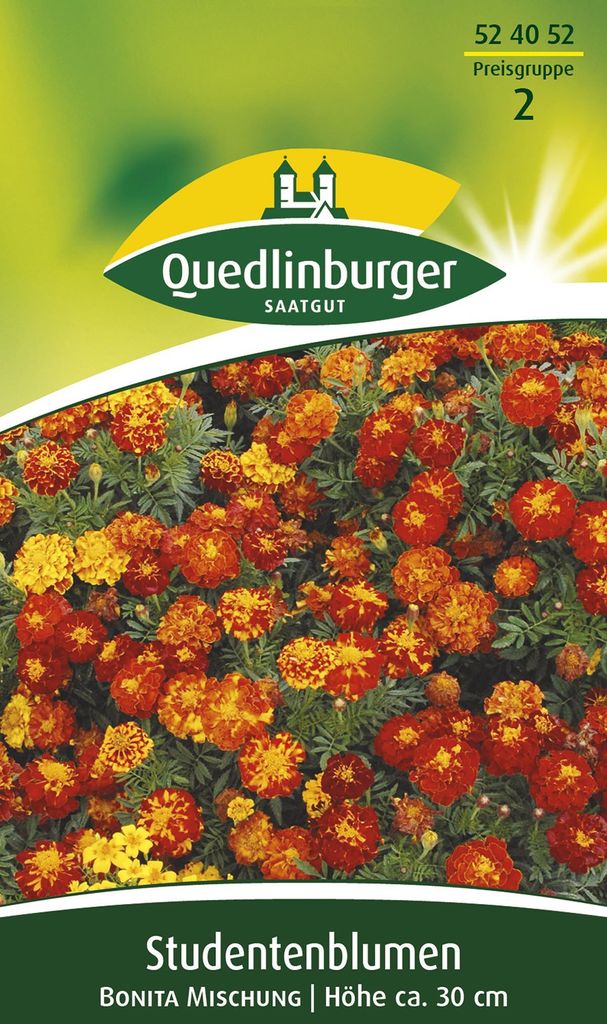 Quedlinburger Saatgut - Studentenblumen Bonita - Samen - Produktbild 