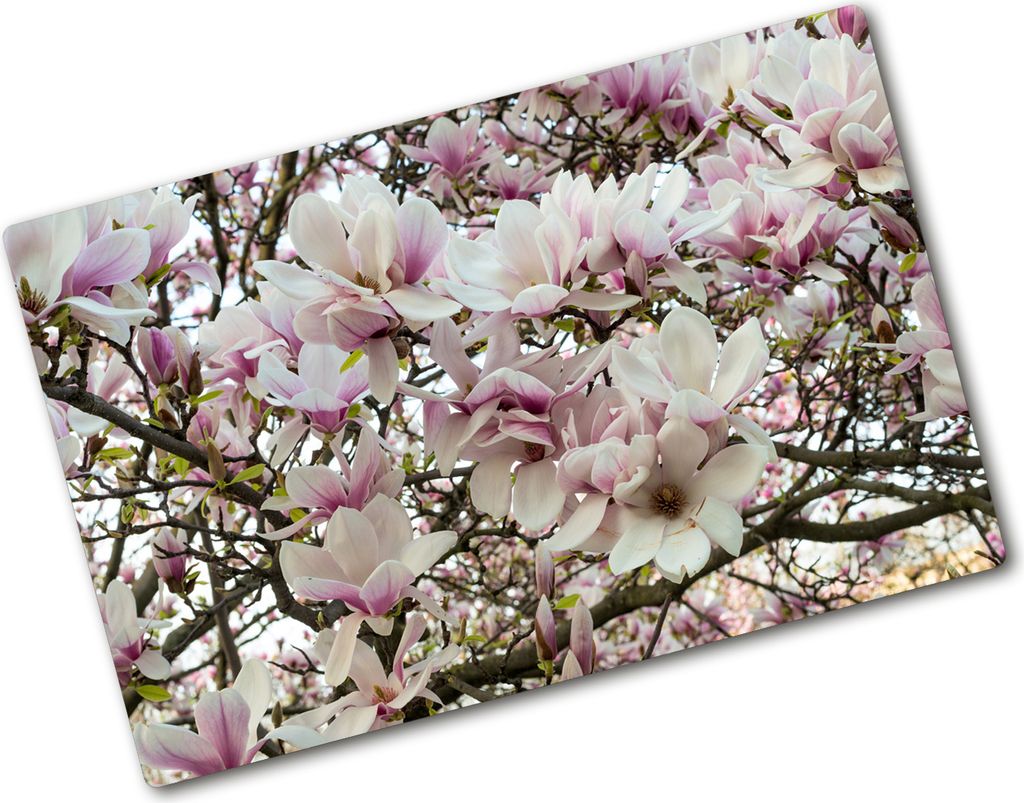 Tulup Glas Herdabdeckplatte - 80x52 cm - Glaskeramikkochfeld-Abdeckung Spritzschutz Glasabdeckplatte - Einteilig - Blumen & Pflanzen - Magnolienbl...