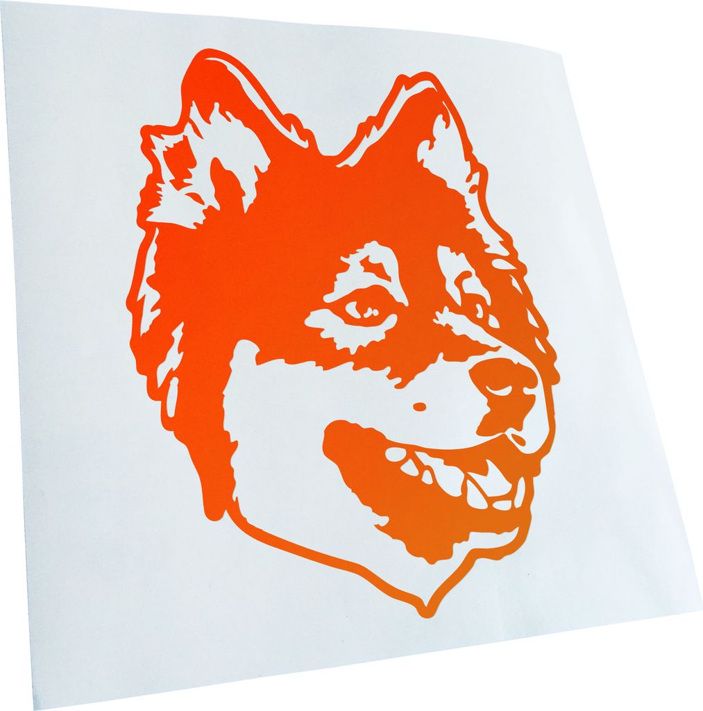 Kiwistar - Autoaufkleber - Finnish lapphund Hund - Neonorange - 40x31cm - Aufkleber für Auto, Laptop, Fahrrad, LKW, Motorrad mehrfarbig JDM Decal ...