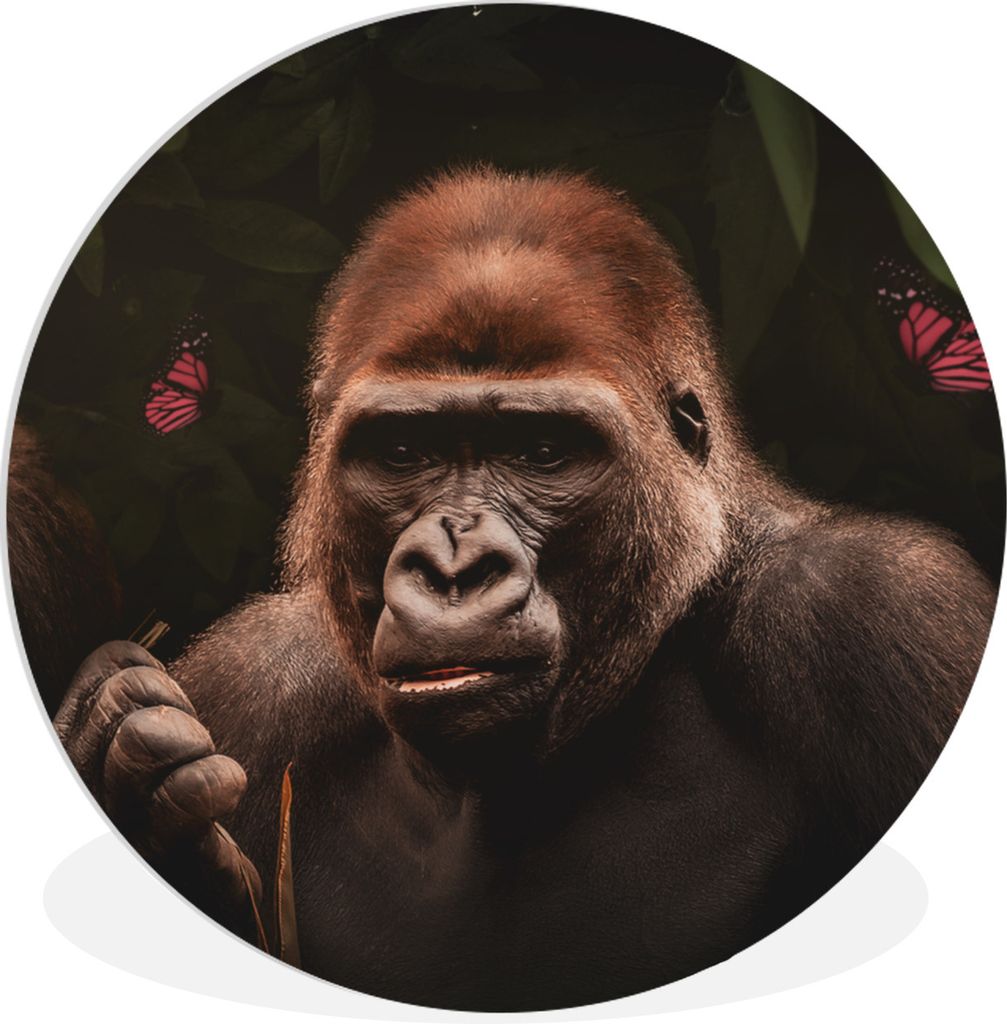 MuchoWow - Schlafzimmer - Bilder - Der Kreis - Kunst für die Wohnung - Plastik - Kunstdruck - Wandbild