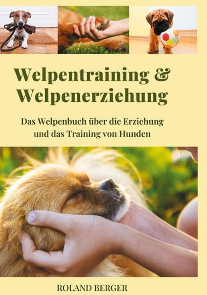 Welpentraining und Welpenerziehung