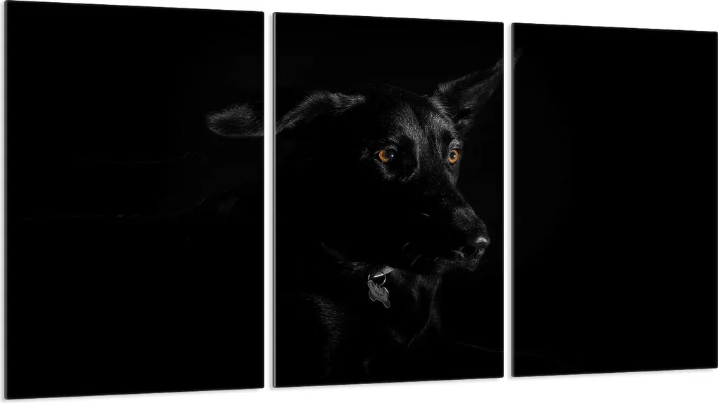 Coprifornelli Artistici 3 Pezzi 30x52 Vetro Nero Design Cane Unico