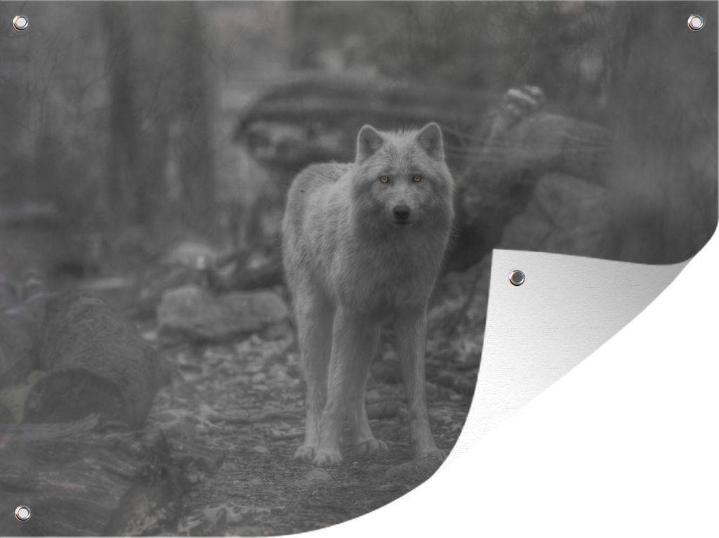 MuchoWow 40x30 cm Outdoor-Poster Gartendeko Sichtschutz Garten Poster für den Garten Weißer Wolf im Wald in Schwarz und Weiß