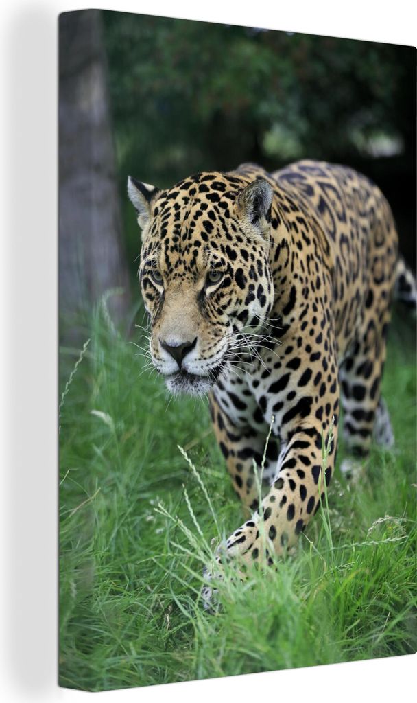OneMillionCanvasses - Leinwandbilder - 90x140 cm, Ein Jaguar läuft durch hohes Gras, Wandbilder Kunstdruck Wanddekoration - Wandschmucke - Schla...
