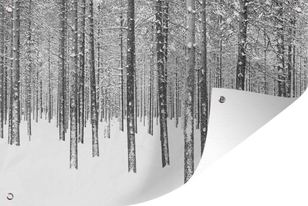 MuchoWow 90x60 cm Outdoor-Poster Gartendeko Sichtschutz Garten Poster für den Garten Tannenbäume im Schnee