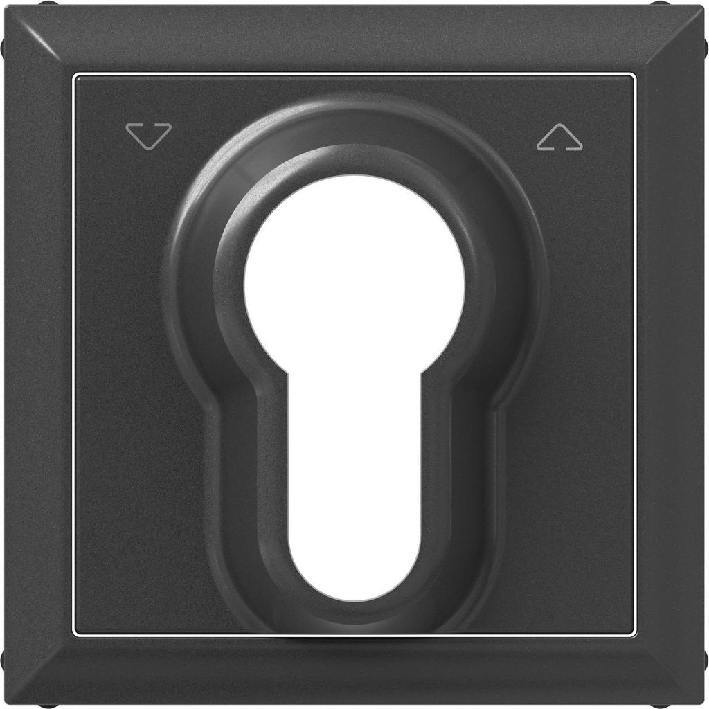 Legrand SEANO Abdeckung für Schlüssel-Jalousietaster mit DIN-Halbzylinder, Anthrazit, 765434