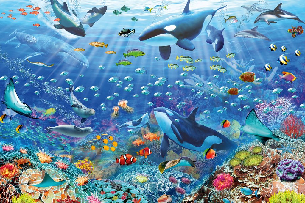 Divertimento subacqueo colorato Immagine del prodotto 