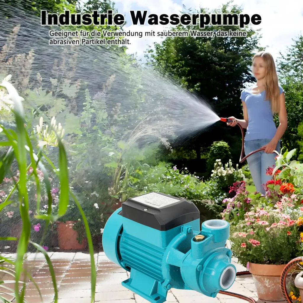 Pompe de surface auto-amorçante UE pour arrosage et jardinage - 5