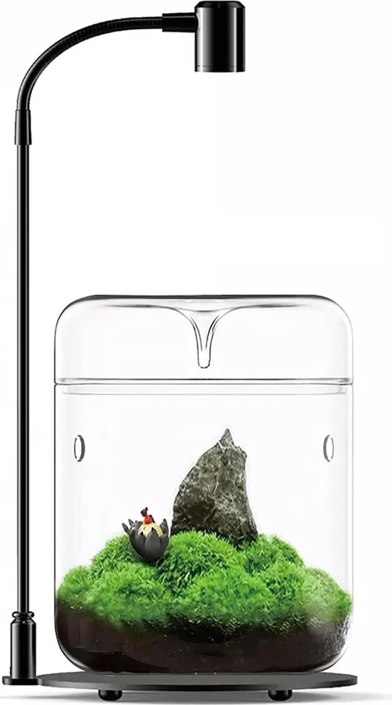 Terrarium en verre transparent 12x17,5cm pour décoration intérieure